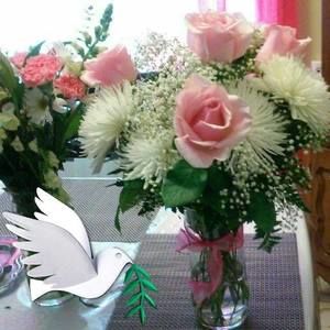 Meet your Posher, Cami